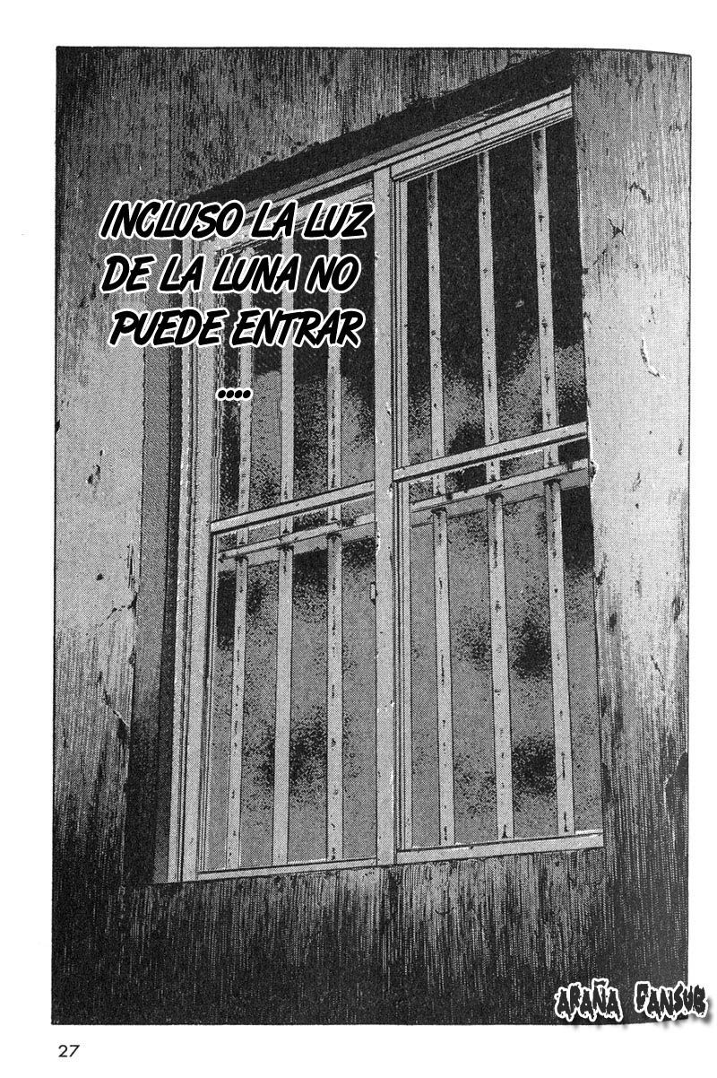 Shamo (Araña Fansub)